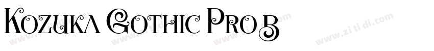 Kozuka Gothic Pro B字体转换